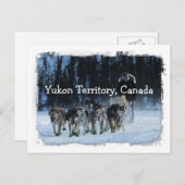 Carte Postale Équipe de traîneau à chiens du Yukon Territoire du (Devant / Derrière)