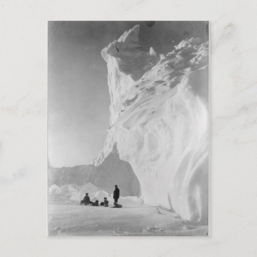 Carte Postale Équipe de traîneau à chiens reposant par Iceberg (Devant)