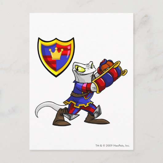 Carte Postale Équipe Meridell Capitaine 1 (Devant)