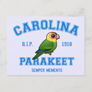 Carte Postale Équipe Parakeet