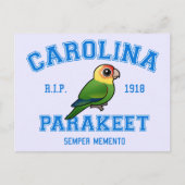 Carte Postale Équipe Parakeet (Devant)