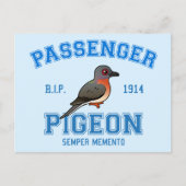 Carte Postale Équipe Passager Pigeon (Devant)