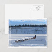 Carte Postale Équipe Yukon Quest (Devant / Derrière)