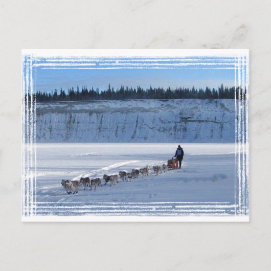 Carte Postale Équipe Yukon Quest (Devant)