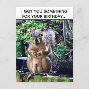 Carte Postale Equirrel Drôle Deez Nuts Anniversaire Inapproprié