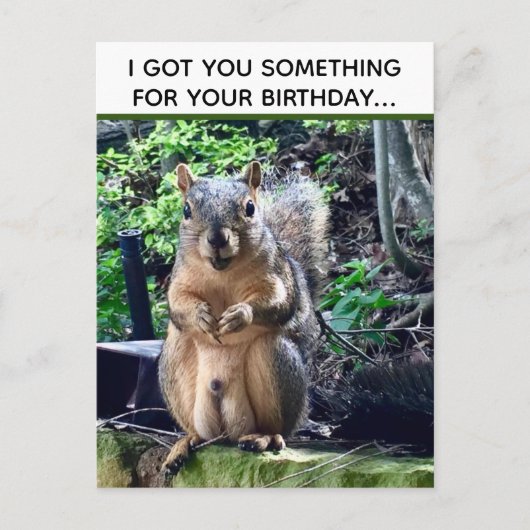 Carte Postale Equirrel Drôle Deez Nuts Anniversaire Inapproprié (Devant)