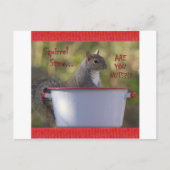 Carte Postale Equirrel Stew ... EST-CE QUE VOUS ÊTES NUTS? ! ? (Devant)