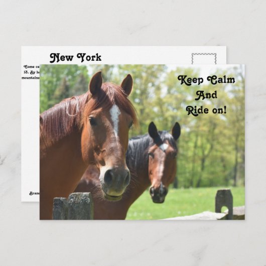 Carte Postale Équitation (Devant / Derrière)