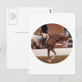 Carte Postale équitation anglaise (Devant / Derrière)