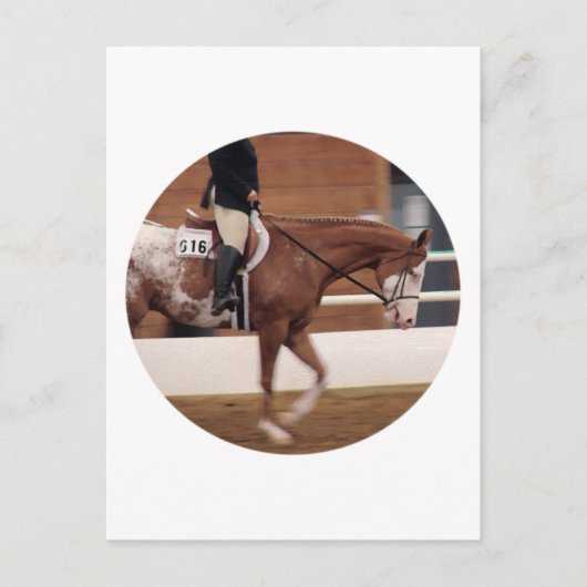 Carte Postale équitation anglaise (Devant)