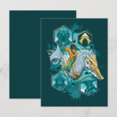 Carte Postale Équitation Aquaman À Cheval Dans Les Royaumes (Devant / Derrière)