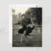 Carte Postale Équitation D'Autruche 1910 (Devant / Derrière)
