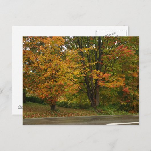 Carte Postale érable (Devant / Derrière)