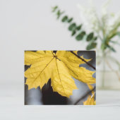 Carte Postale Érable à sucre, automne (Debout devant)