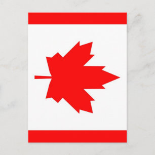 Carte Postale Érable canadien