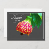 Carte Postale Érable en Fleur Fond Gris Merci (Devant / Derrière)