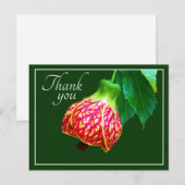 Carte Postale Érable en Fleur Fond Vert Merci (Devant / Derrière)