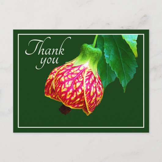 Carte Postale Érable en Fleur Fond Vert Merci (Devant)