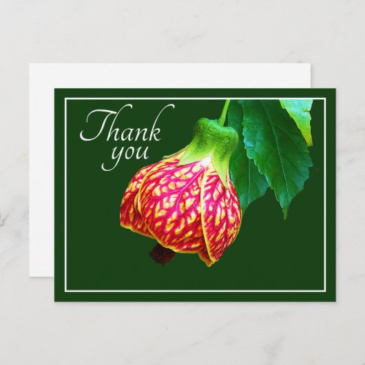 Carte Postale Érable en Fleurs Fond Vert Merci (Devant / Derrière)