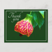 Carte Postale Érable en Fleurs Fond Vert Merci (Devant)