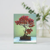 Carte Postale érable japonais (Debout devant)