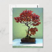 Carte Postale érable japonais (Devant / Derrière)