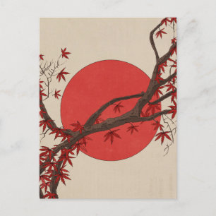 Carte Postale Érable japonais