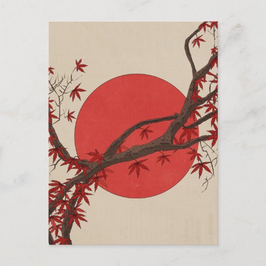 Carte Postale Érable japonais (Devant)