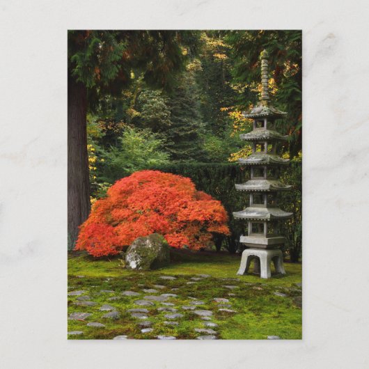 Carte Postale Érable japonais et pagode dans un jardin japonais (Devant)