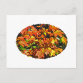 Carte Postale Érable rouge (automne) (Devant)