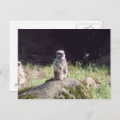 Carte Postale erdmann (Devant / Derrière)