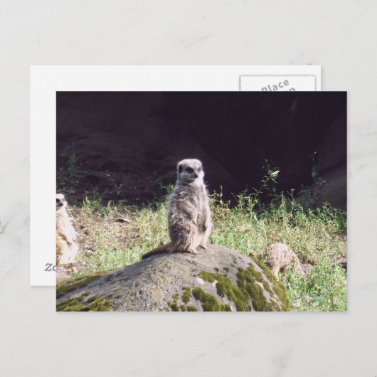 Carte Postale erdmann (Devant / Derrière)