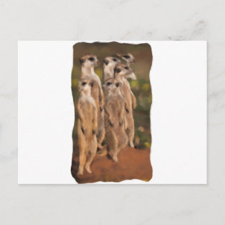 Carte Postale Erdmännchengruppe