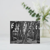 Carte Postale Eric Ravilious Art, Woodland Outdoor Florence, (Debout devant)
