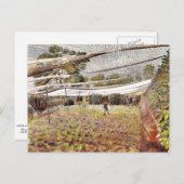 Carte Postale Eric Ravilit art, Filets de fraises (Devant / Derrière)