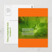 Carte Postale Erin Go Braugh Green Freesia Articles (Devant / Derrière)