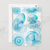 Carte Postale Ernest Leptomedusae jellyfish (Devant / Derrière)
