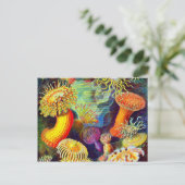 Carte Postale Ernst Haeckel et ses anémones (Debout devant)