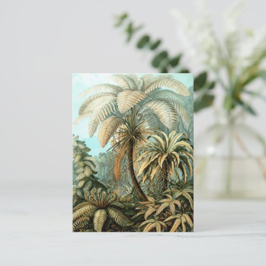 Carte postale Ernst Haeckel's Filicinae (Tree Fern (Debout devant)
