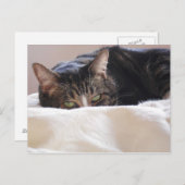 Carte Postale Erreur de planification (Devant / Derrière)