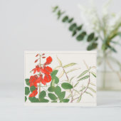 Carte Postale Erythrina, Panicum par Tanigami Konan (Debout devant)