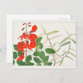 Carte Postale Erythrina, Panicum par Tanigami Konan (Devant / Derrière)