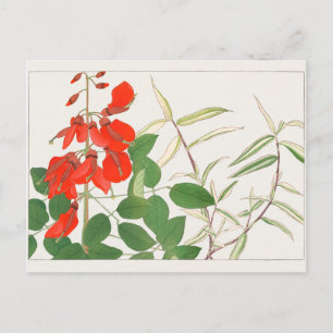 Carte Postale Erythrina, Panicum par Tanigami Konan