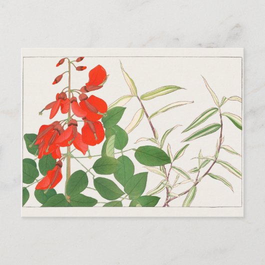 Carte Postale Erythrina, Panicum par Tanigami Konan (Devant)