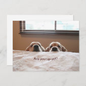 Carte Postale Es-Tu Déjà Golden Retriever (Devant / Derrière)