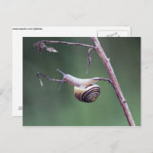 Carte Postale Escalade (Devant / Derrière)