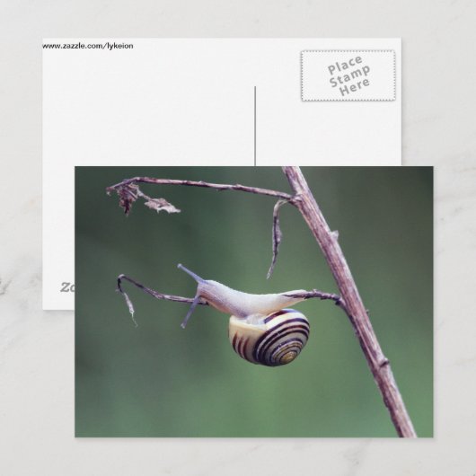 Carte Postale Escalade (Devant / Derrière)