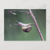 Carte Postale Escalade (Devant)