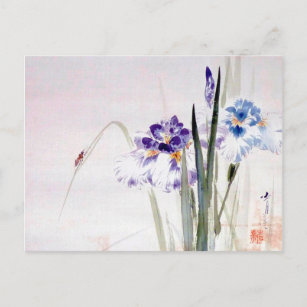 Carte Postale Escalade de coléoptères sur Iris Leaf, Watanabe Se