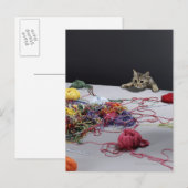 Carte Postale Escalade du chat tabby argenté sur le bord de la t (Devant / Derrière)